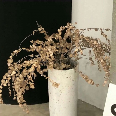 滦平福瑞交流群